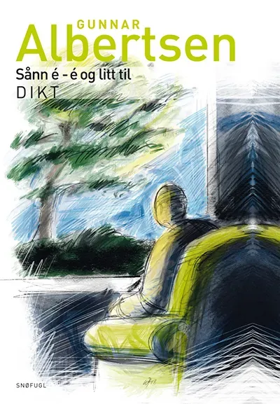 Snøfugl Forlag Sånn é é og litt til bok humor