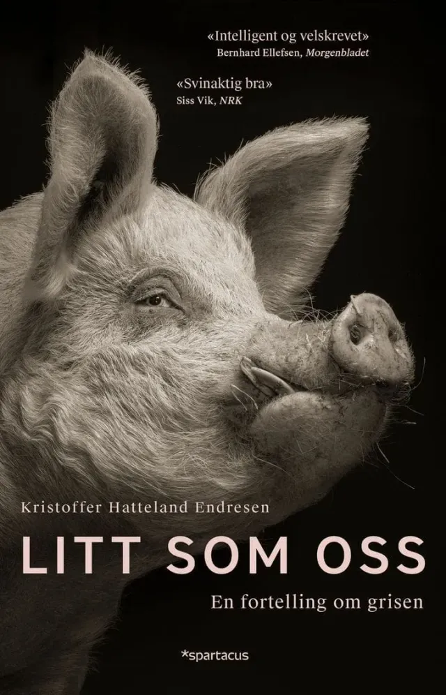 Spartacus Litt som oss bok gris Jæren