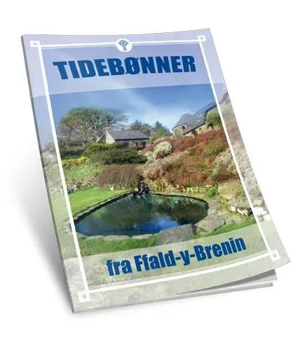 Proklamedia Tidebønner e-bok PDF Roy Godwin