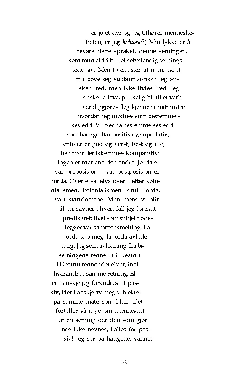Dat Virvelle bok Holmberg roman norsk oversatt