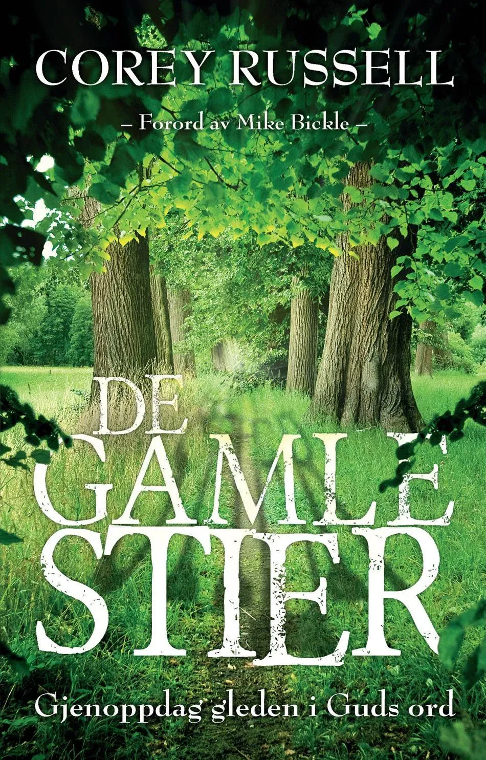 Proklamedia De gamle stier Corey Russell bok pocket 153 sider