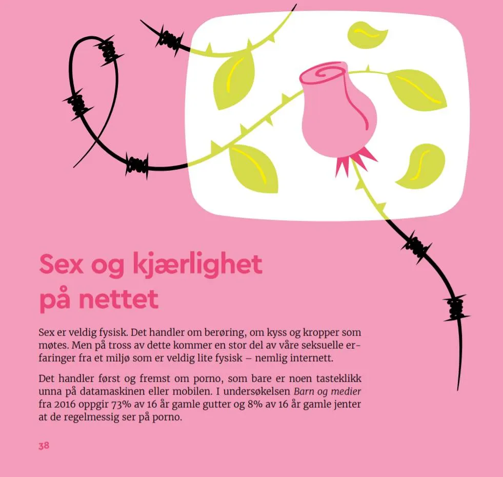 Proklamedia Gutt og jente bok om sex og forhold på norsk