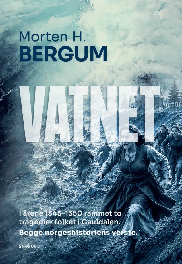 Snøfugl Forlag Vatnet roman på norsk historisk