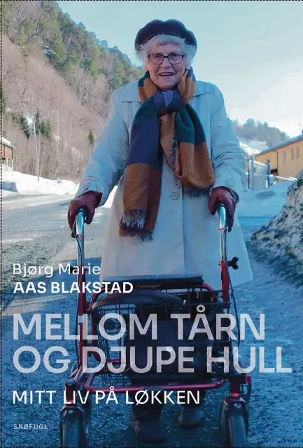 Snøfugl Forlag Bjørg Balstad Mellom tårn bok på norsk