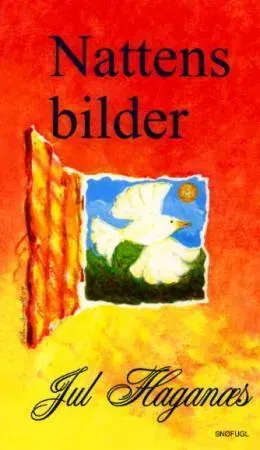Snøfugl Forlag Nattens bilder bok heftet på norsk